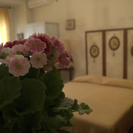B&B All'Ombra Di San Pietro Rome Exterior photo