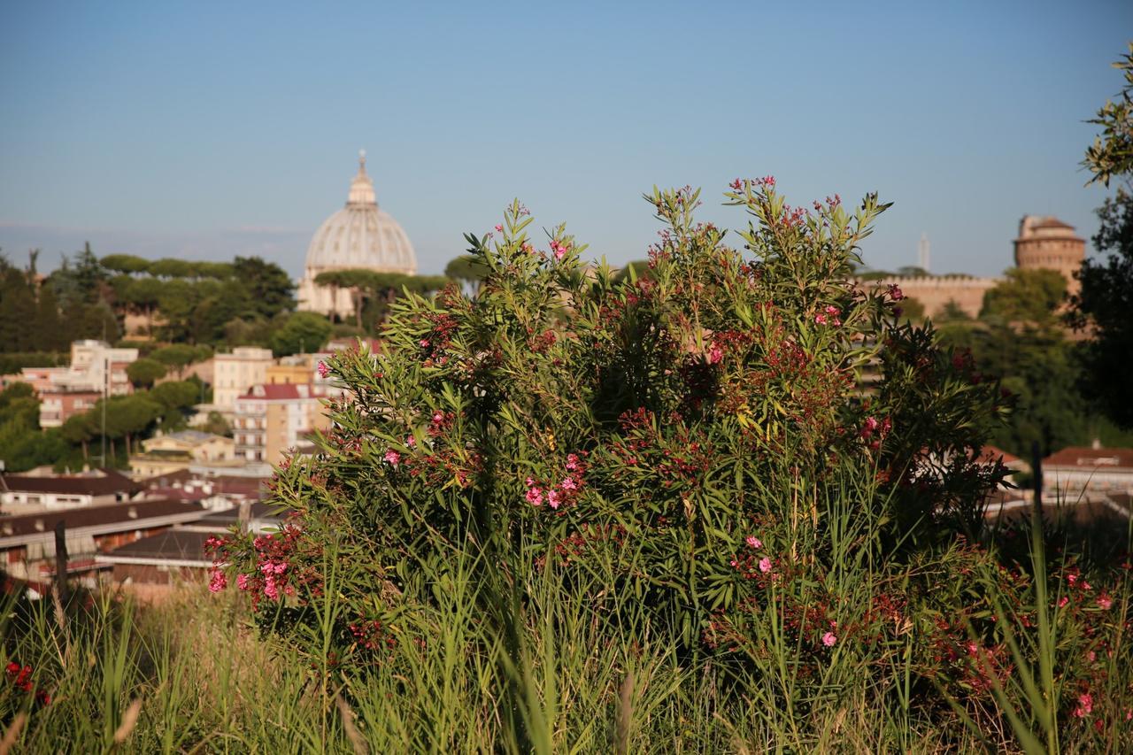 B&B All'Ombra Di San Pietro Rome Exterior photo